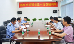 熱烈歡迎張書(shū)記一行蒞臨居然之家安徽分公司合肥長(cháng)江東路店調研指導！